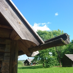DSC_1098.JPG